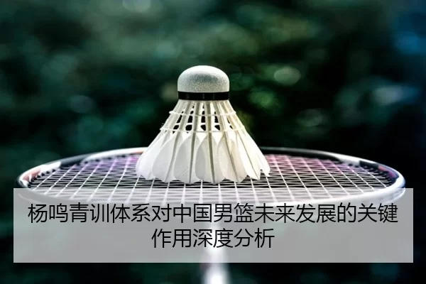 杨鸣青训体系对中国男篮未来发展的关键作用深度分析